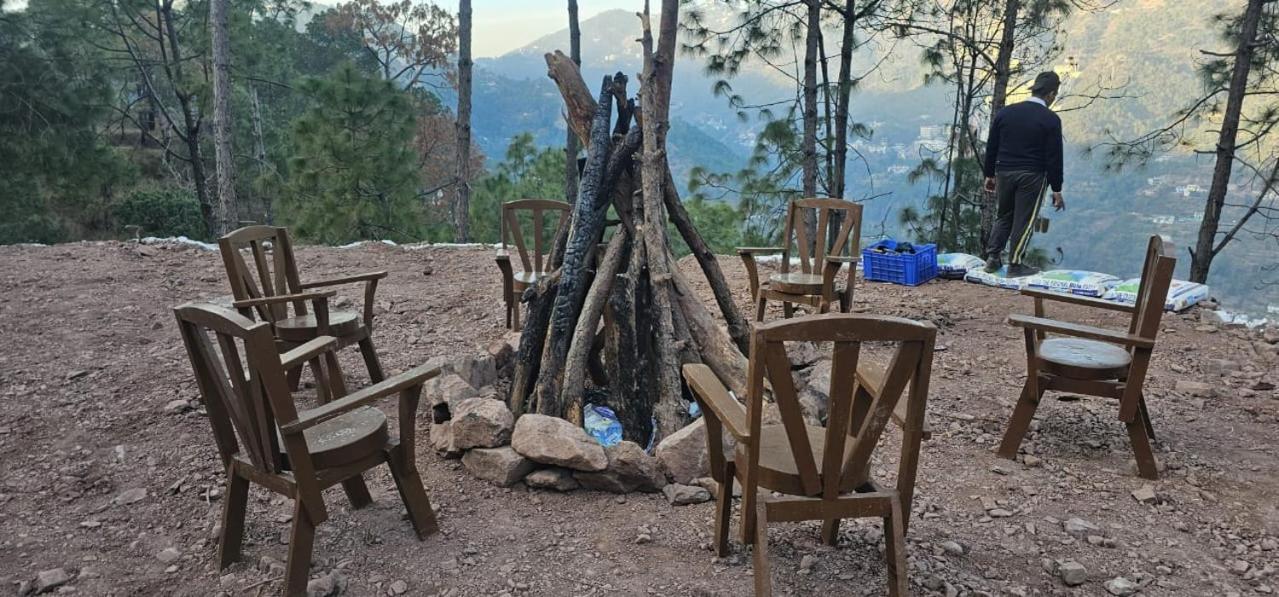 Hotel Tribe View - Away From City Hustle !! Top Rated & Most Awarded Property !! A Peaceful Stay Kasauli Eksteriør bilde